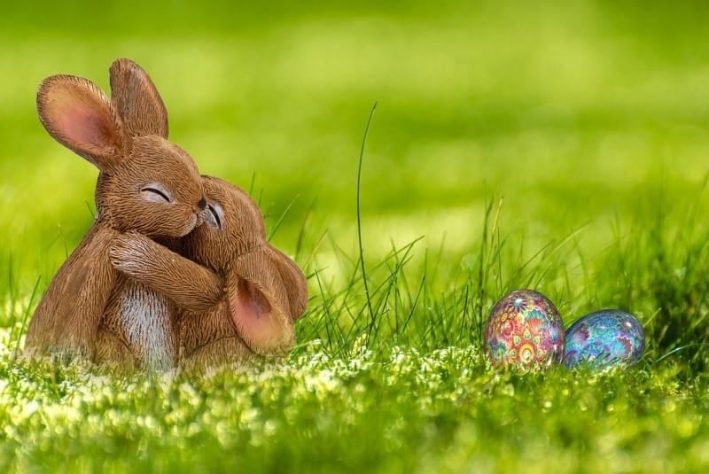 168090593 3778255205588948 7059785621983400561 n