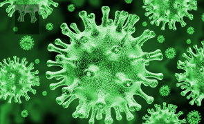 combi green ctverec 295x180